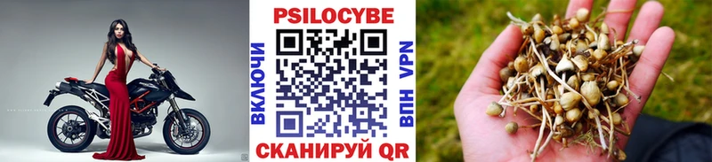 Галлюциногенные грибы GOLDEN TEACHER  Шарья 